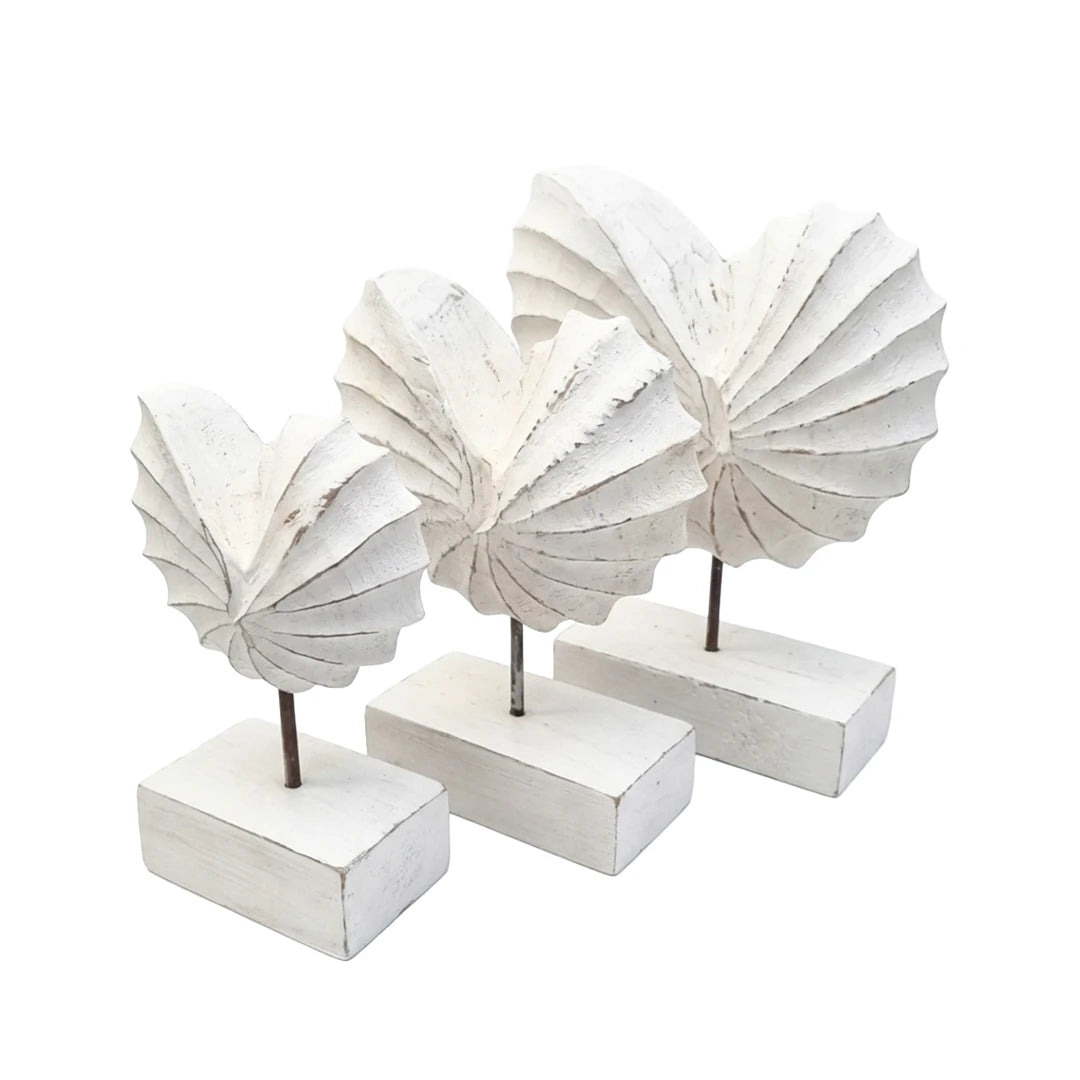 Set caracol blanco