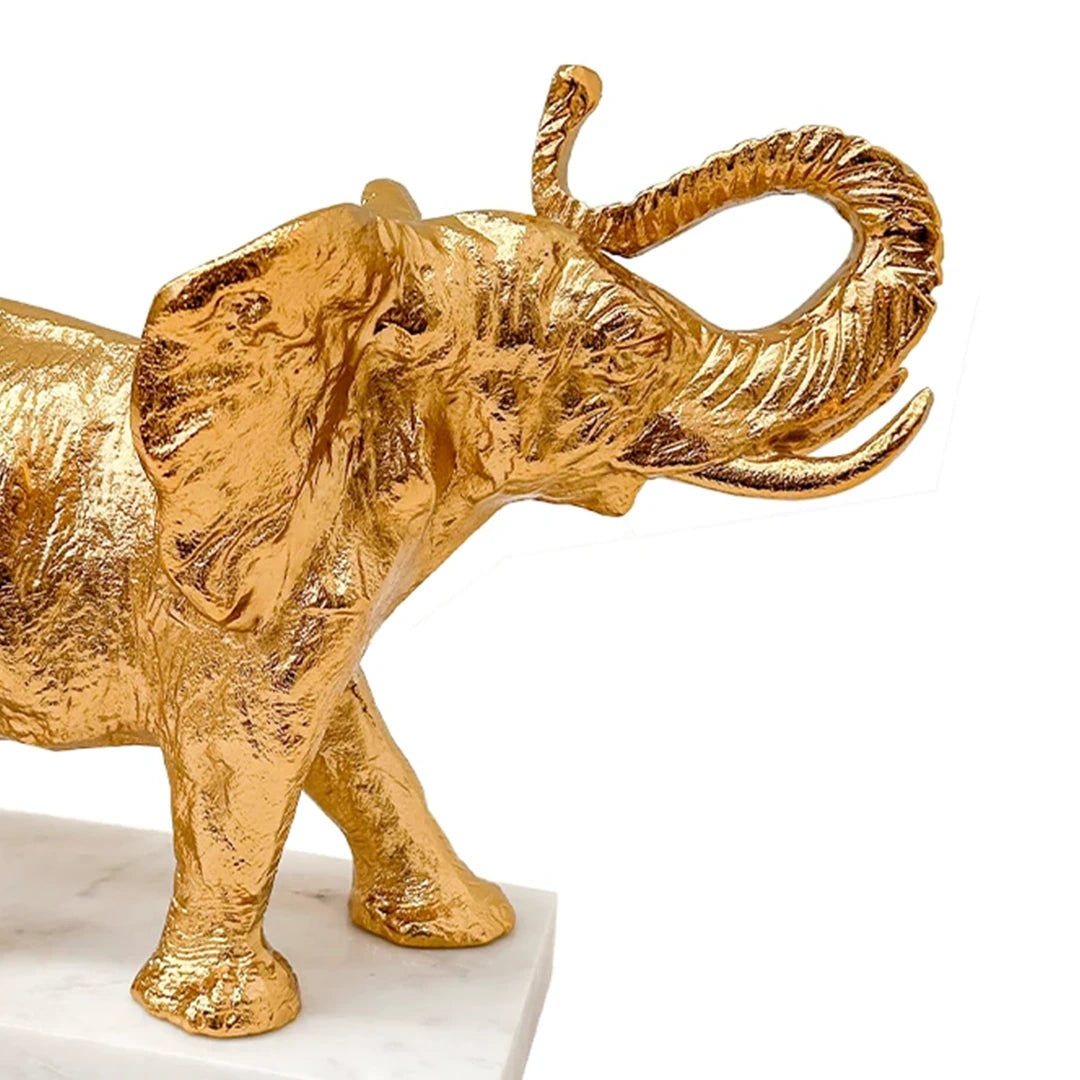 Elefante Kassa