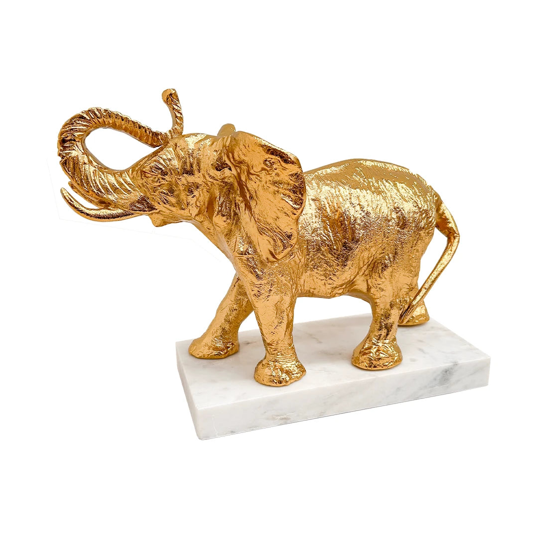 Elefante Kassa