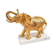Elefante Kassa