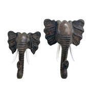 Cabeza de elefante café